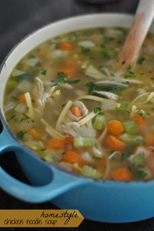 homestyle chicken noodle soup recipe homestyle chicken noodle soup recipe